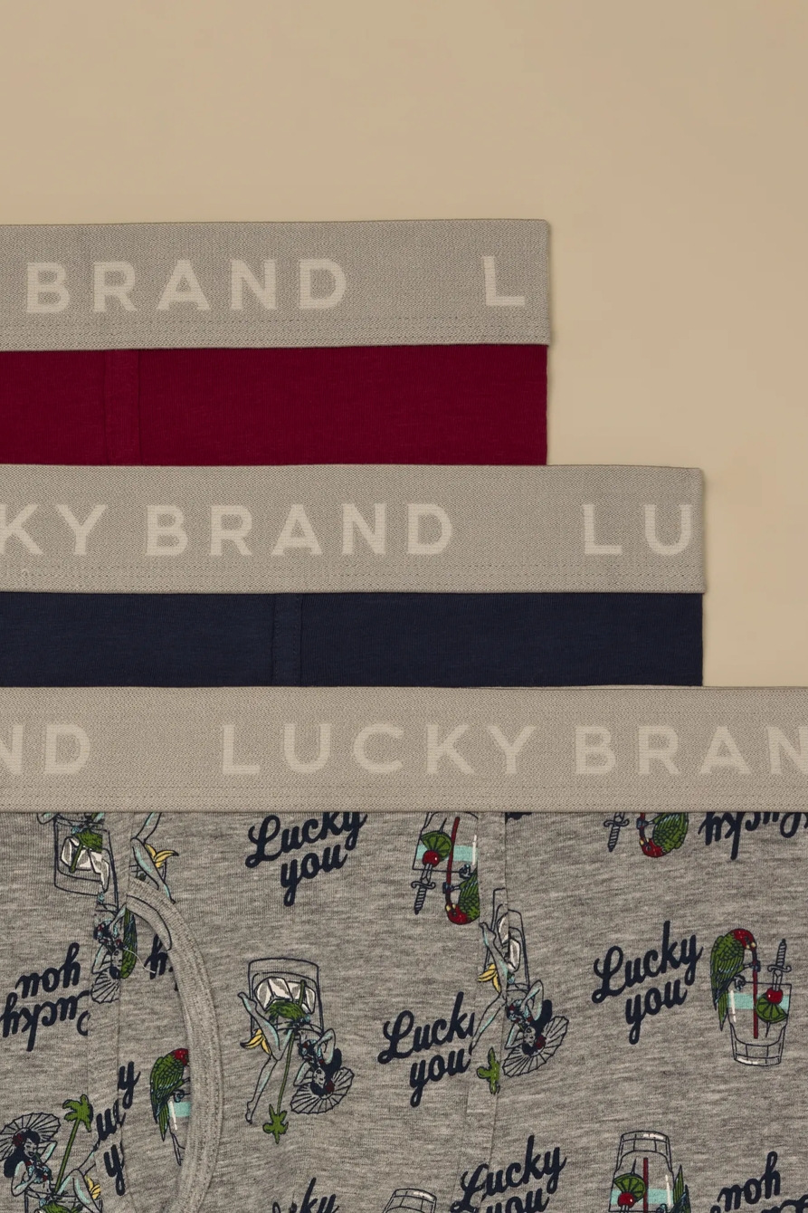 3 PACK BOXER BRIEF — LUAU PRINT — image 2