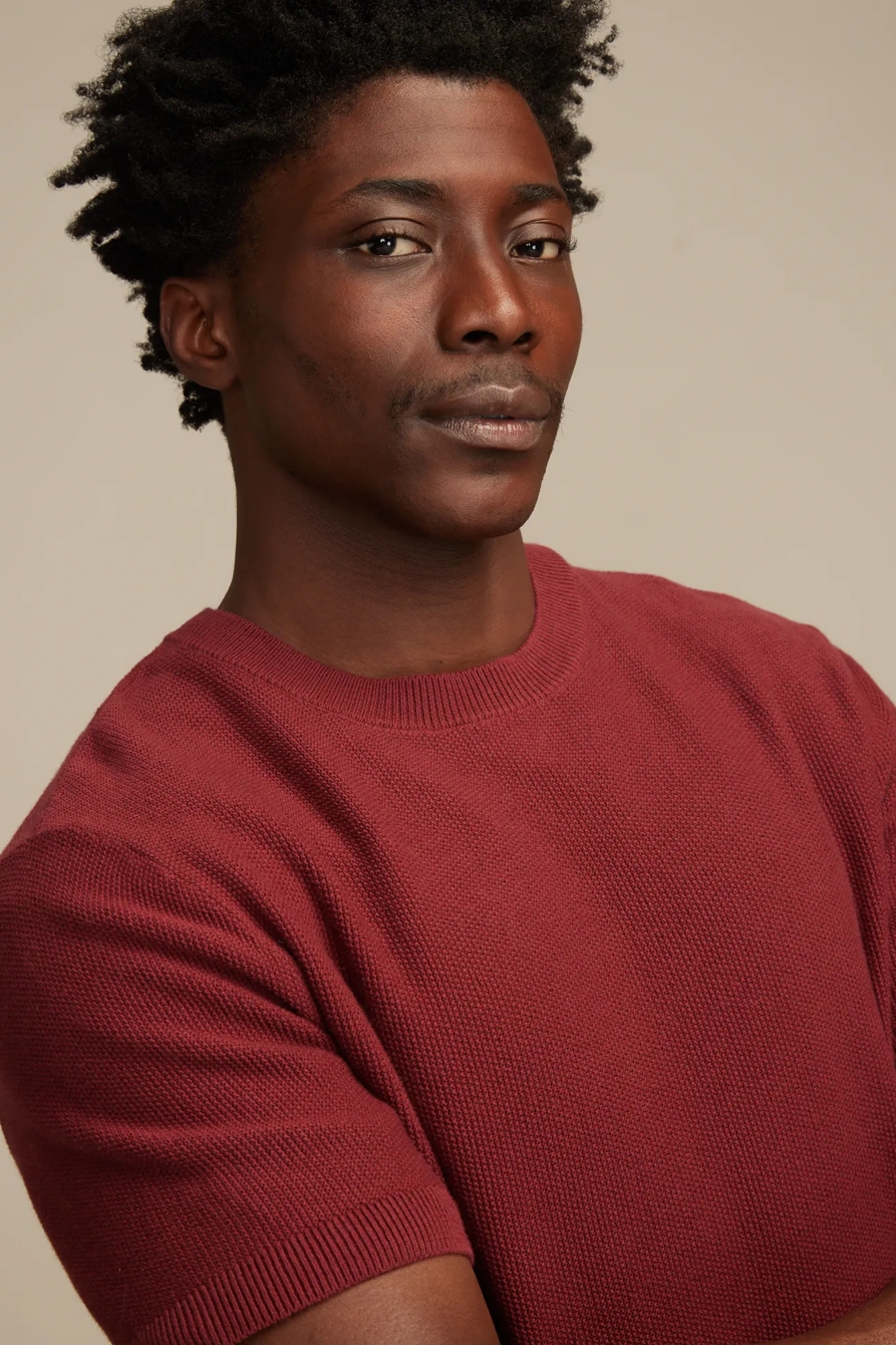 SHORT SLEEVE CREW NECK SWEATER — SYRAH — image 2