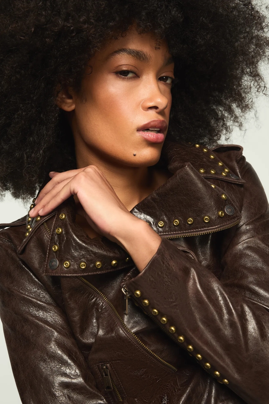 STUDDED MOTO LEATHER JACKET — CHICORY COFFEE — image 2