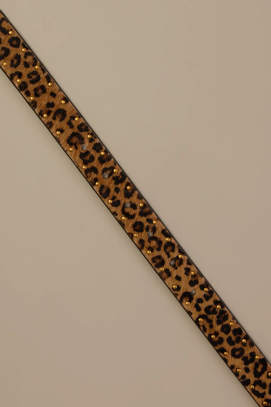 LEOPARD HAIRCALF BELT — Leopard — image 2